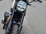 Angebot Royal Enfield Bear 650