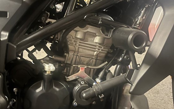 Gebrauchtmotorrad Motobi DL 125 - Bild 4 Gebrauchtmotorrad Motobi DL 125 - Bild 4