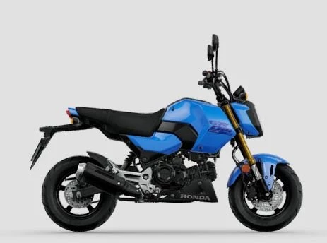 Offer Honda MSX125 Grom Bild 1: Offer Honda MSX125 Grom