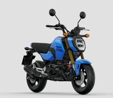 Offer Honda MSX125 Grom Bild 2: Offer Honda MSX125 Grom