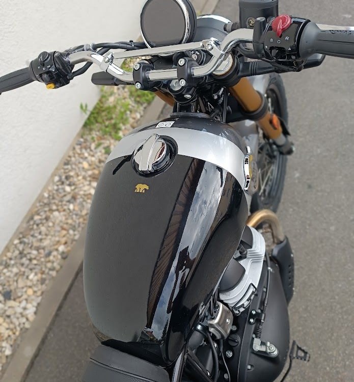 Angebot Royal Enfield Bear 650