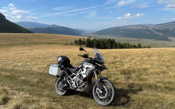 Gebrauchtmotorrad Triumph Tiger 1200 Rally PRO - Bild 3 Gebrauchtmotorrad Triumph Tiger 1200 Rally PRO - Bild 3