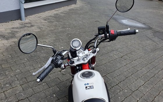 Neufahrzeug Honda Monkey 125 - Bild 15
