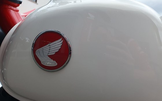 Neufahrzeug Honda Monkey 125 - Bild 17