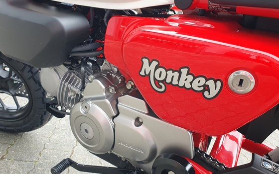 Gebrauchtmotorrad Honda Monkey 125 - Bild 18