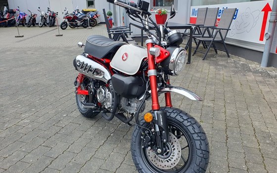 Gebrauchtmotorrad Honda Monkey 125 - Bild 4