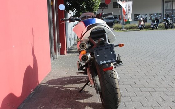 Neufahrzeug Moto Morini Sport 1200 - Bild 8