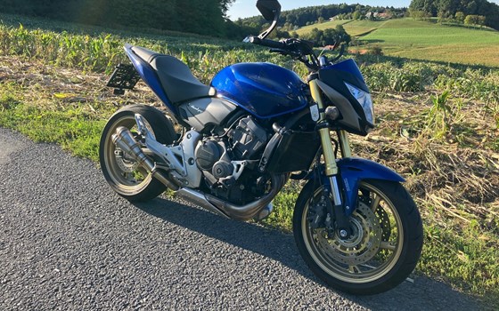 Gebrauchtmotorrad Honda CB 600 F Hornet - Bild 1 Gebrauchtmotorrad Honda CB 600 F Hornet - Bild 1
