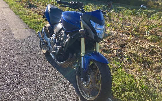 Gebrauchtmotorrad Honda CB 600 F Hornet - Bild 2 Gebrauchtmotorrad Honda CB 600 F Hornet - Bild 2