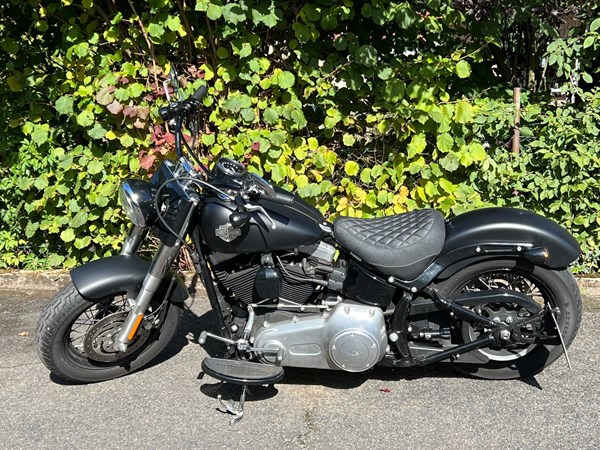 Gebrauchtmotorrad Harley-Davidson Softail Slim FLS