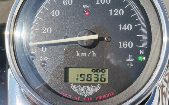 Gebrauchtmotorrad Honda VT 750 DC Black Widow - Bild 5