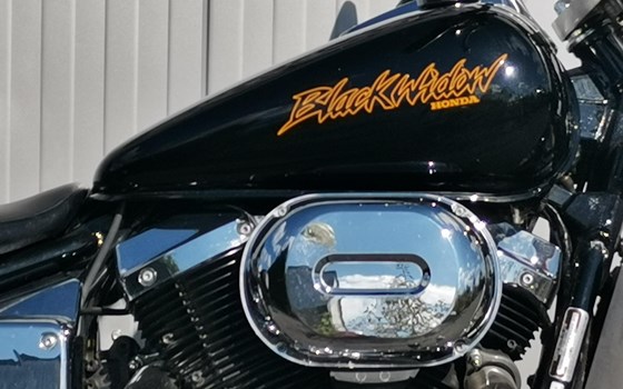 Gebrauchtmotorrad Honda VT 750 DC Black Widow - Bild 6