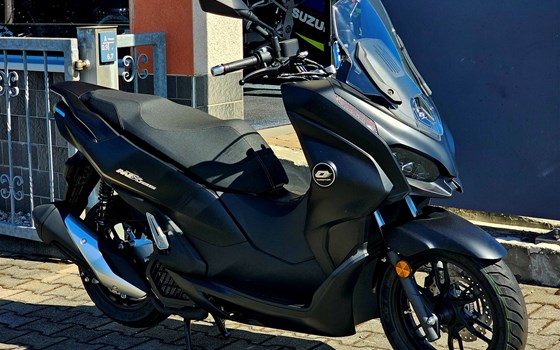 Neufahrzeug QJ Motor MTX 125 - Bild 2