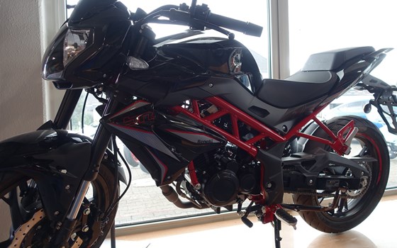 Neufahrzeug Benelli BN 125 - Bild 1