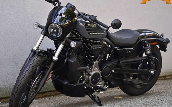 Neufahrzeug Harley-Davidson Nightster - Bild 1 Neufahrzeug Harley-Davidson Nightster - Bild 1