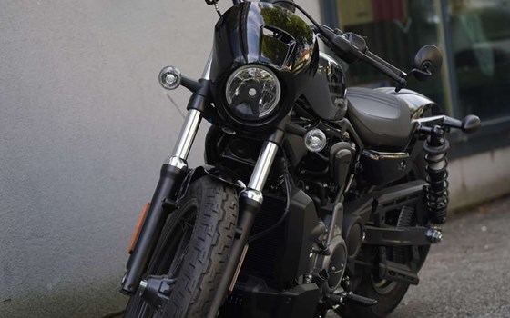 Neufahrzeug Harley-Davidson Nightster - Bild 2