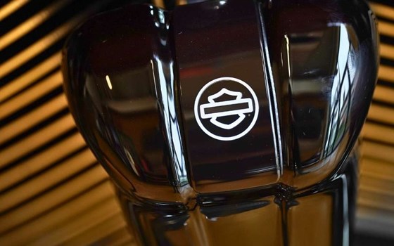 Neufahrzeug Harley-Davidson Softail Heritage Classic 114 FLHCS - Bild 14 Neufahrzeug Harley-Davidson Softail Heritage Classic 114 FLHCS - Bild 14