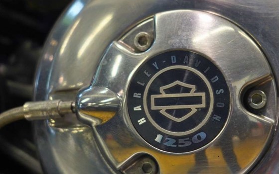 Gebrauchtmotorrad Harley-Davidson V-Rod Muscle VRSCF - Bild 6