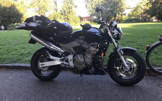 Gebrauchtmotorrad Honda CB 600 F Hornet - Bild 1 Gebrauchtmotorrad Honda CB 600 F Hornet - Bild 1