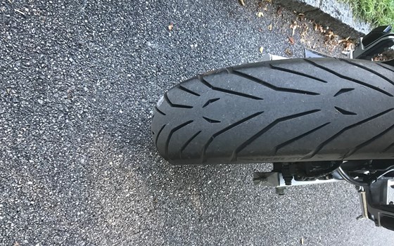 Gebrauchtmotorrad Honda CB 600 F Hornet - Bild 2 Gebrauchtmotorrad Honda CB 600 F Hornet - Bild 2