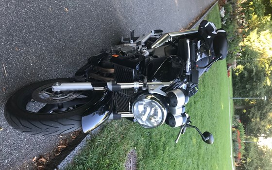 Gebrauchtmotorrad Honda CB 600 F Hornet - Bild 3 Gebrauchtmotorrad Honda CB 600 F Hornet - Bild 3