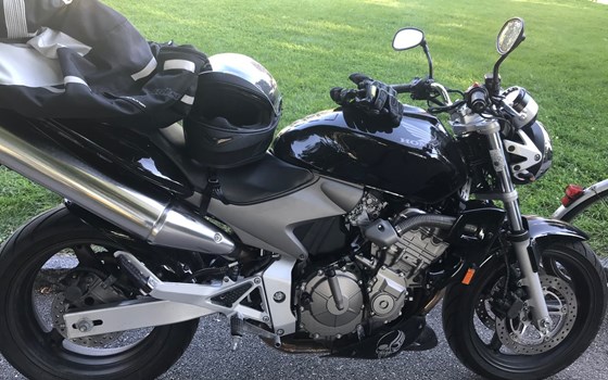 Gebrauchtmotorrad Honda CB 600 F Hornet - Bild 4 Gebrauchtmotorrad Honda CB 600 F Hornet - Bild 4