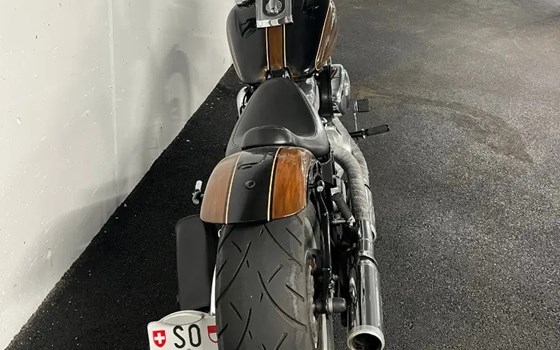 Offerta Harley-Davidson Softail Springer FXSTSI - Immagine 2