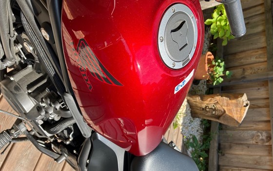 Gebrauchtmotorrad Honda CMX500 Rebel - Bild 9 Gebrauchtmotorrad Honda CMX500 Rebel - Bild 9