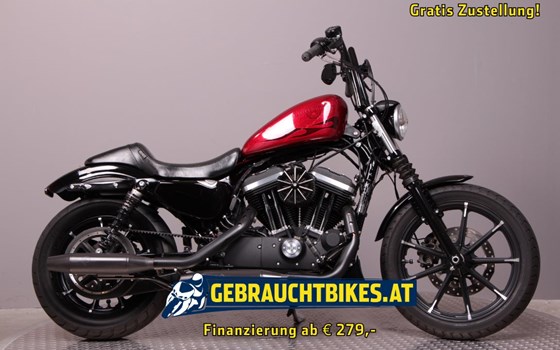 Gebrauchtmotorrad Harley-Davidson Sportster XL 883 N Iron - Bild 1 Gebrauchtmotorrad Harley-Davidson Sportster XL 883 N Iron - Bild 1