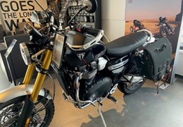 Gebrauchte Triumph Scrambler 1200 XE