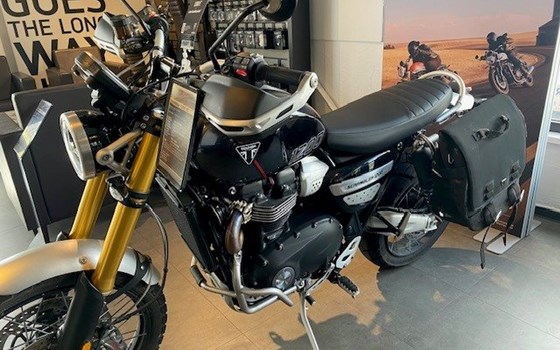 Gebrauchtmotorrad Triumph Scrambler 1200 XE - Bild 1