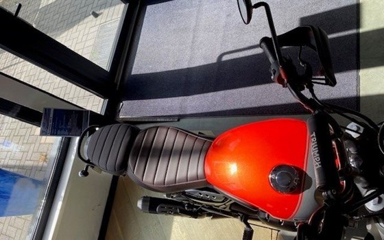 Gebrauchtmotorrad Triumph Scrambler 400 X - Bild 2