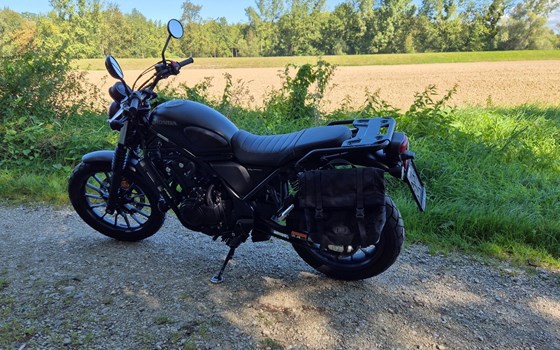 Gebrauchtmotorrad Honda CL500 - Bild 6