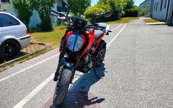 Gebrauchtmotorrad KTM 125 Duke - Bild 9 Gebrauchtmotorrad KTM 125 Duke - Bild 9