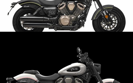 Neufahrzeug Benda Chinchilla 500 - Bild 19