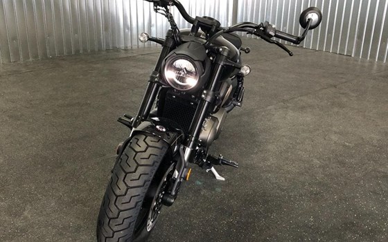 Neufahrzeug Benda Chinchilla 500 - Bild 7