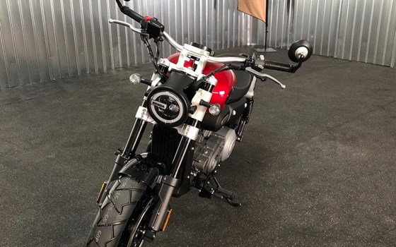 Neufahrzeug Benda Chinchilla 125 - Bild 7