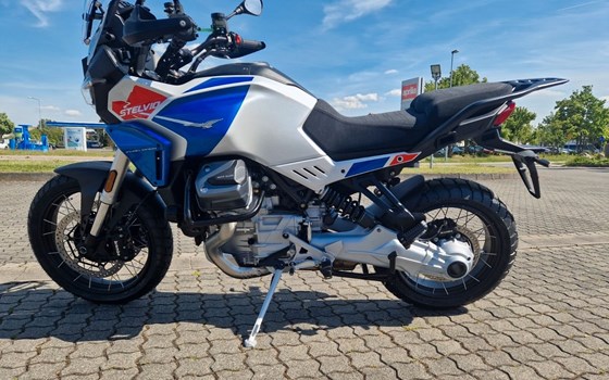 Neufahrzeug Moto Guzzi Stelvio Duecento Tributo - Bild 3