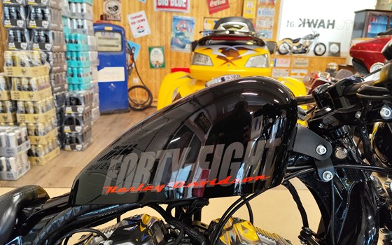 Gebrauchtmotorrad Harley-Davidson Sportster XL 1200X Forty-Eight - Bild 8 Gebrauchtmotorrad Harley-Davidson Sportster XL 1200X Forty-Eight - Bild 8