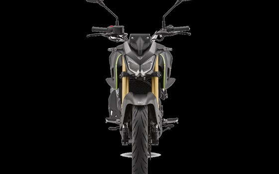 Neufahrzeug QJ Motor SRK 125 S - Bild 5