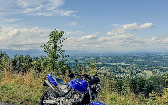 Gebrauchtmotorrad Honda CB 600 F Hornet - Bild 1