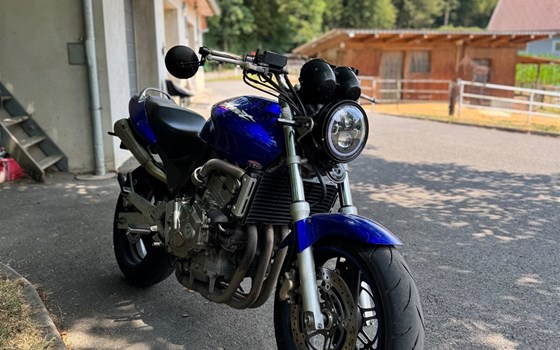Gebrauchtmotorrad Honda CB 600 F Hornet - Bild 2
