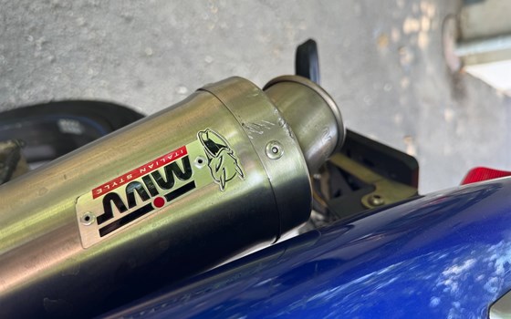 Gebrauchtmotorrad Honda CB 600 F Hornet - Bild 6