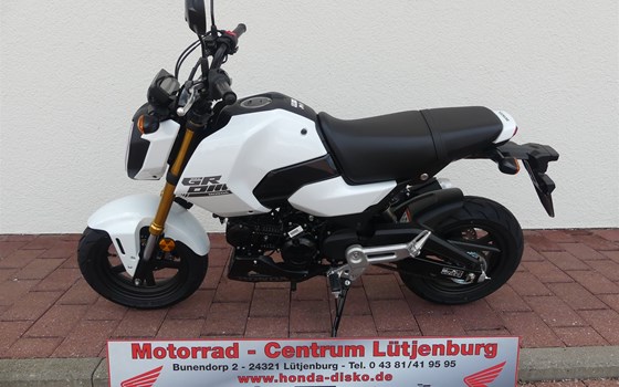 Neufahrzeug Honda MSX125 Grom - Bild 2