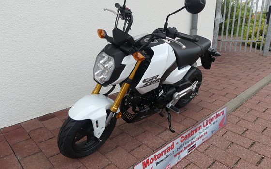 Neufahrzeug Honda MSX125 Grom - Bild 3