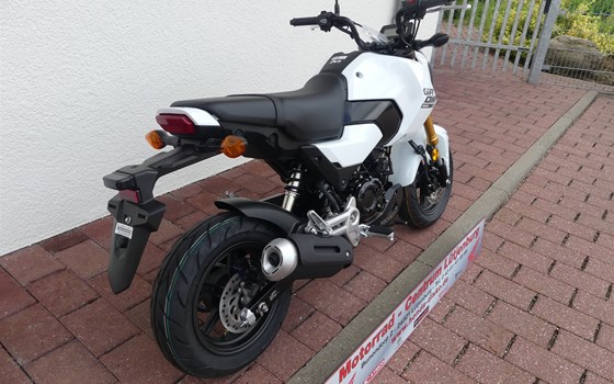 Neufahrzeug Honda MSX125 Grom - Bild 4