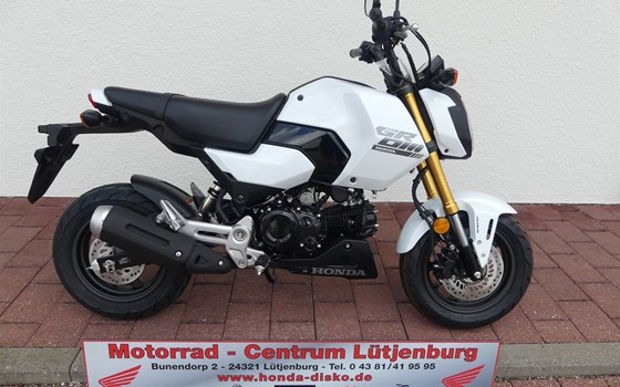 Neufahrzeug Honda MSX125 Grom - Bild 1