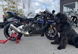 Neumotorrad Yamaha R1M