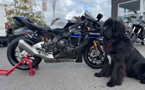 Neufahrzeug Yamaha R1M - Bild 1