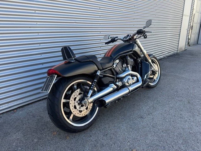 Harley-Davidson V-Rod Muscle VRSCF (Mattschwarze Folierung) - Bild 4
